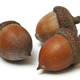 Illustration for article titled Controversial Judge Distributes Novelty Acorn-Condoms